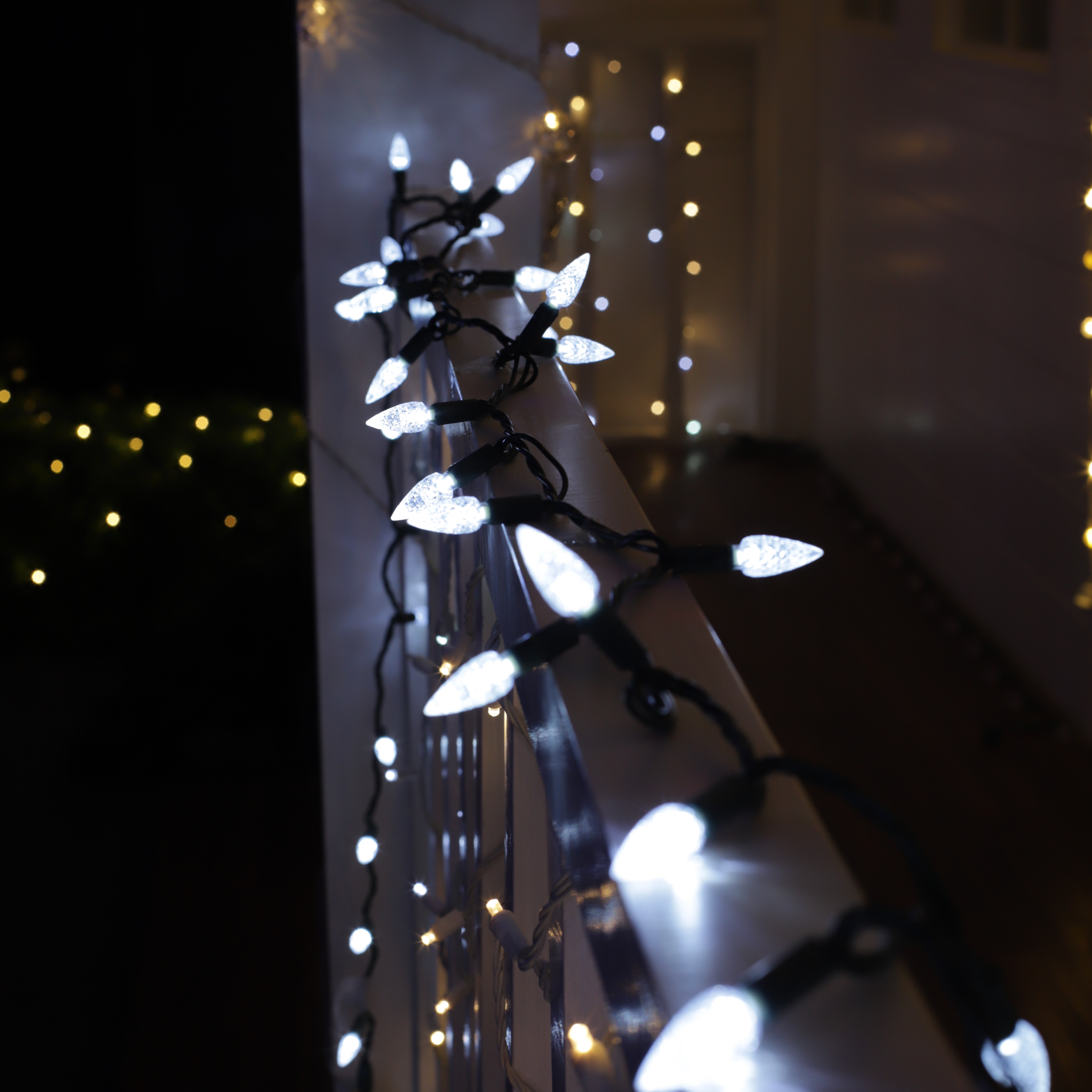 UL C6 차가운 흰색 딸기 LED 조명