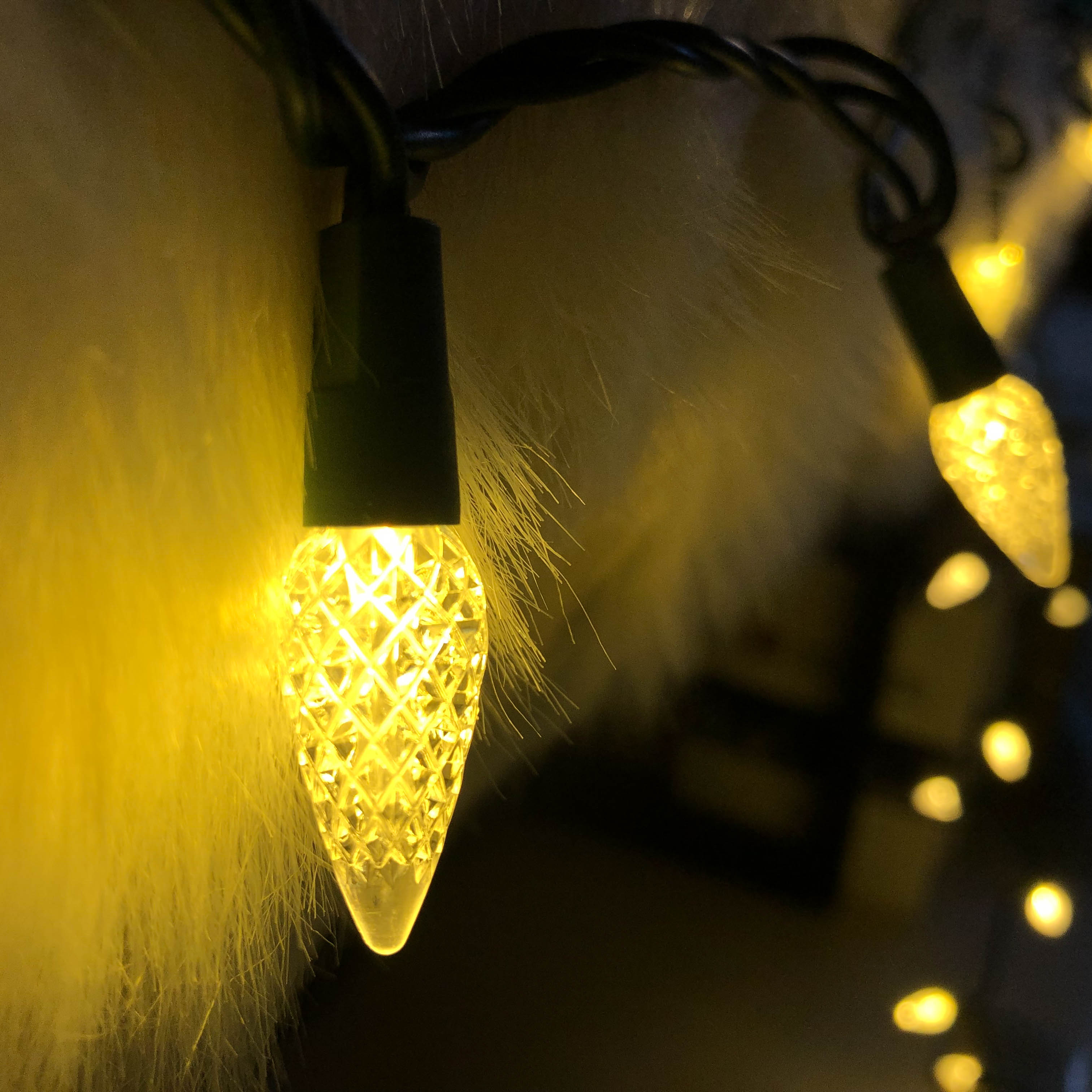 UL C6 따뜻한 흰 딸기 LED 조명