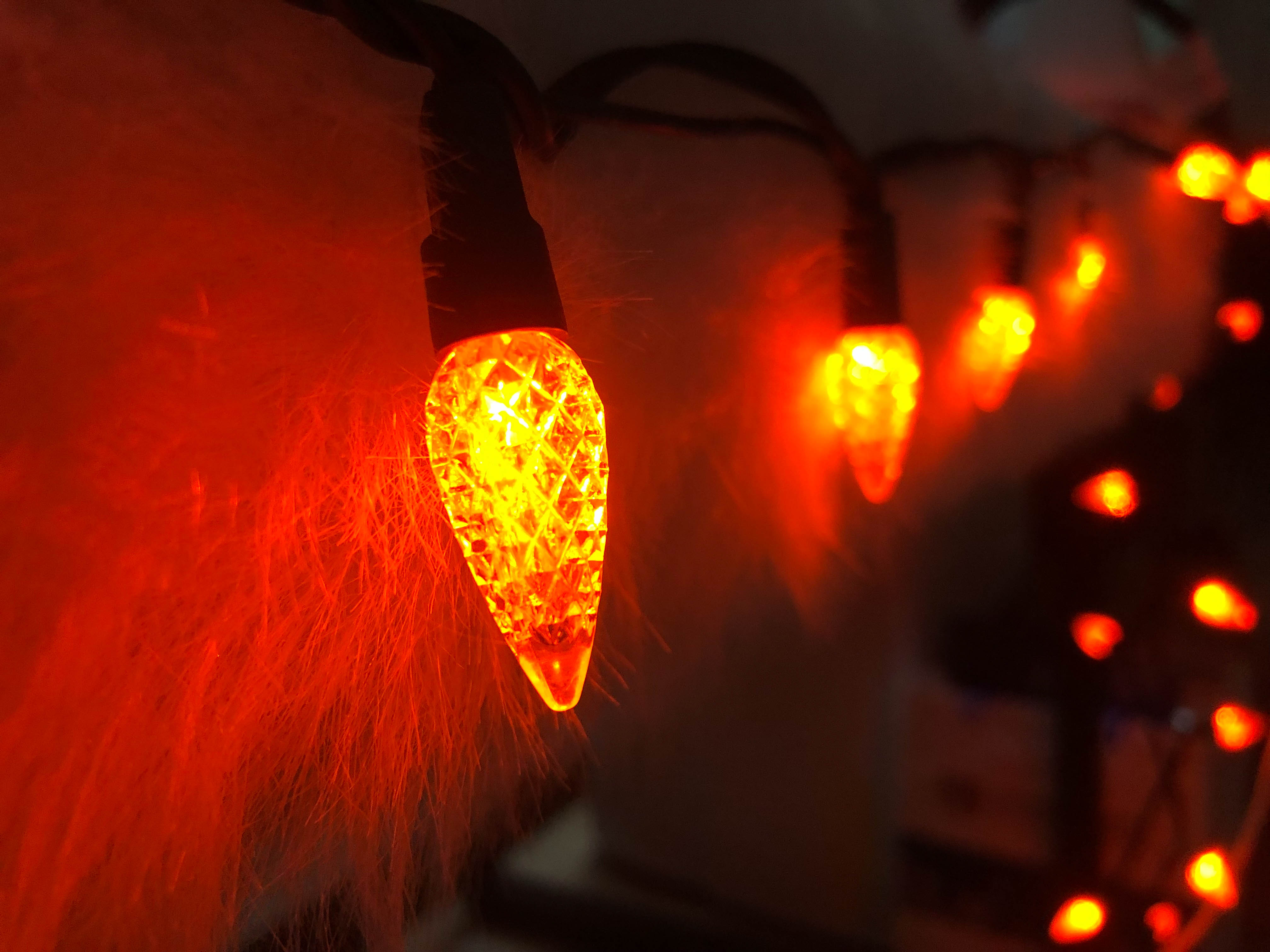 22 AWG 와이어 UL 방수 옥외 사용 주황색 LED C6 딸기 LED 스트링 조명 