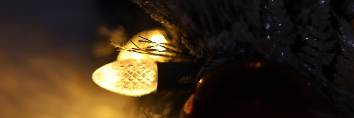 C7 크리스마스 교체 전구 