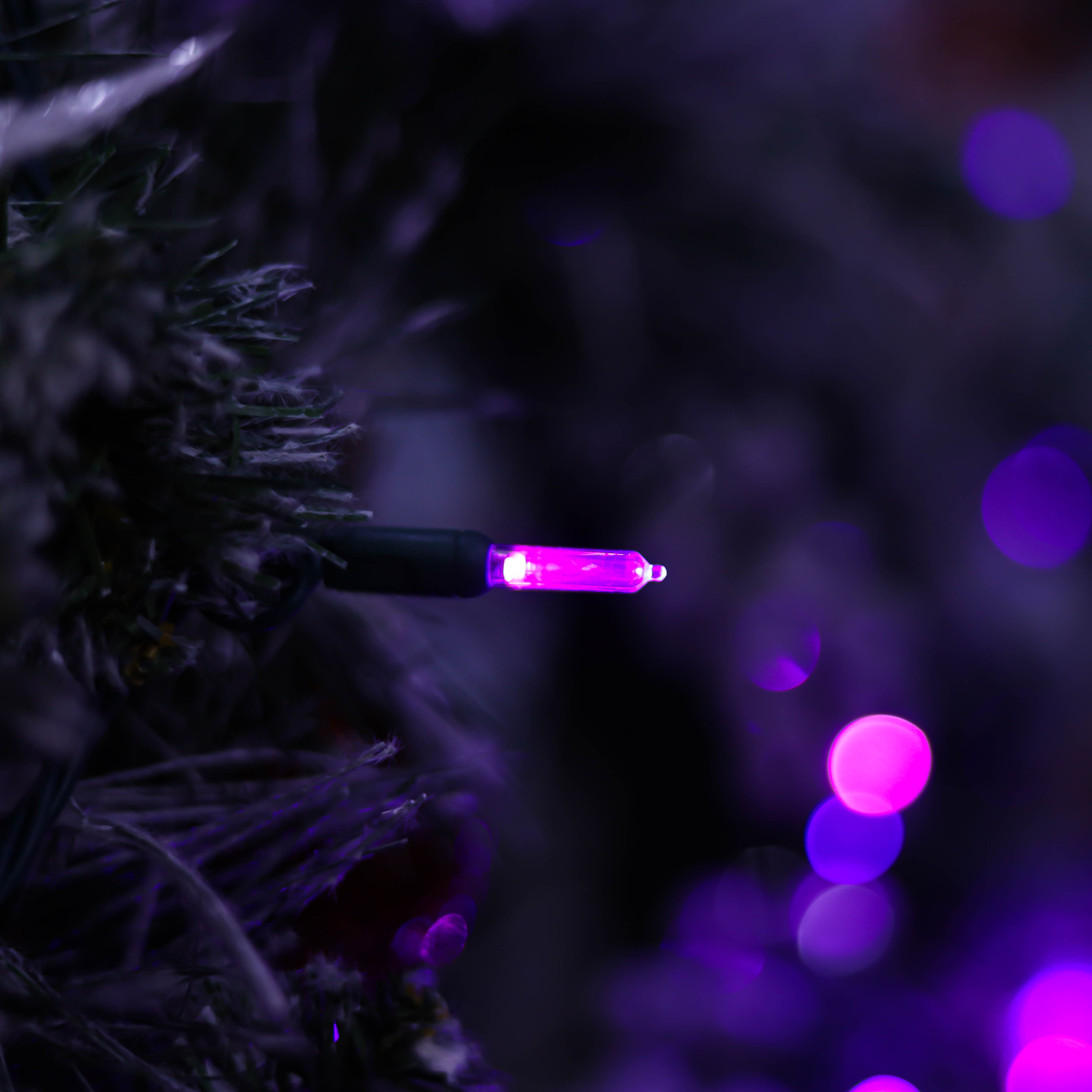 UL T5 LED 문자열 조명 보라색 크리스마스 조명 할로윈 조명