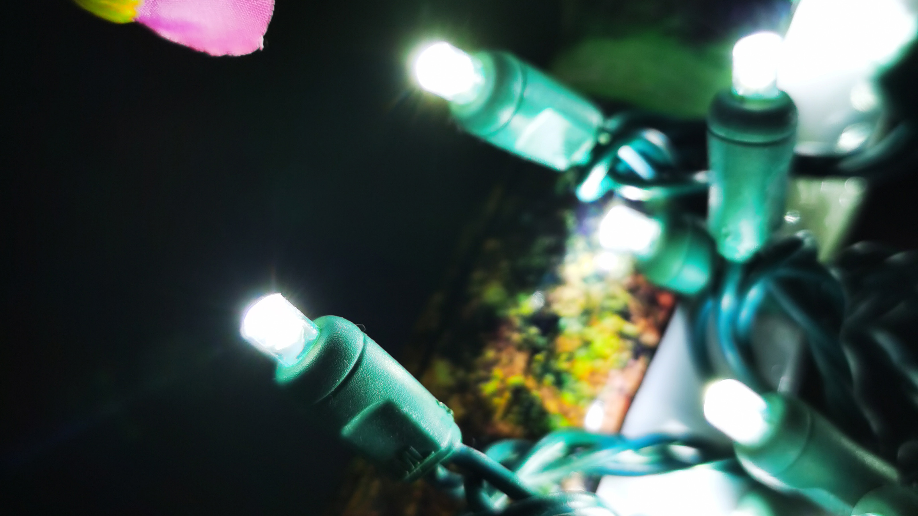 최고의 야외 태양열 스트링 조명은 무엇입니까