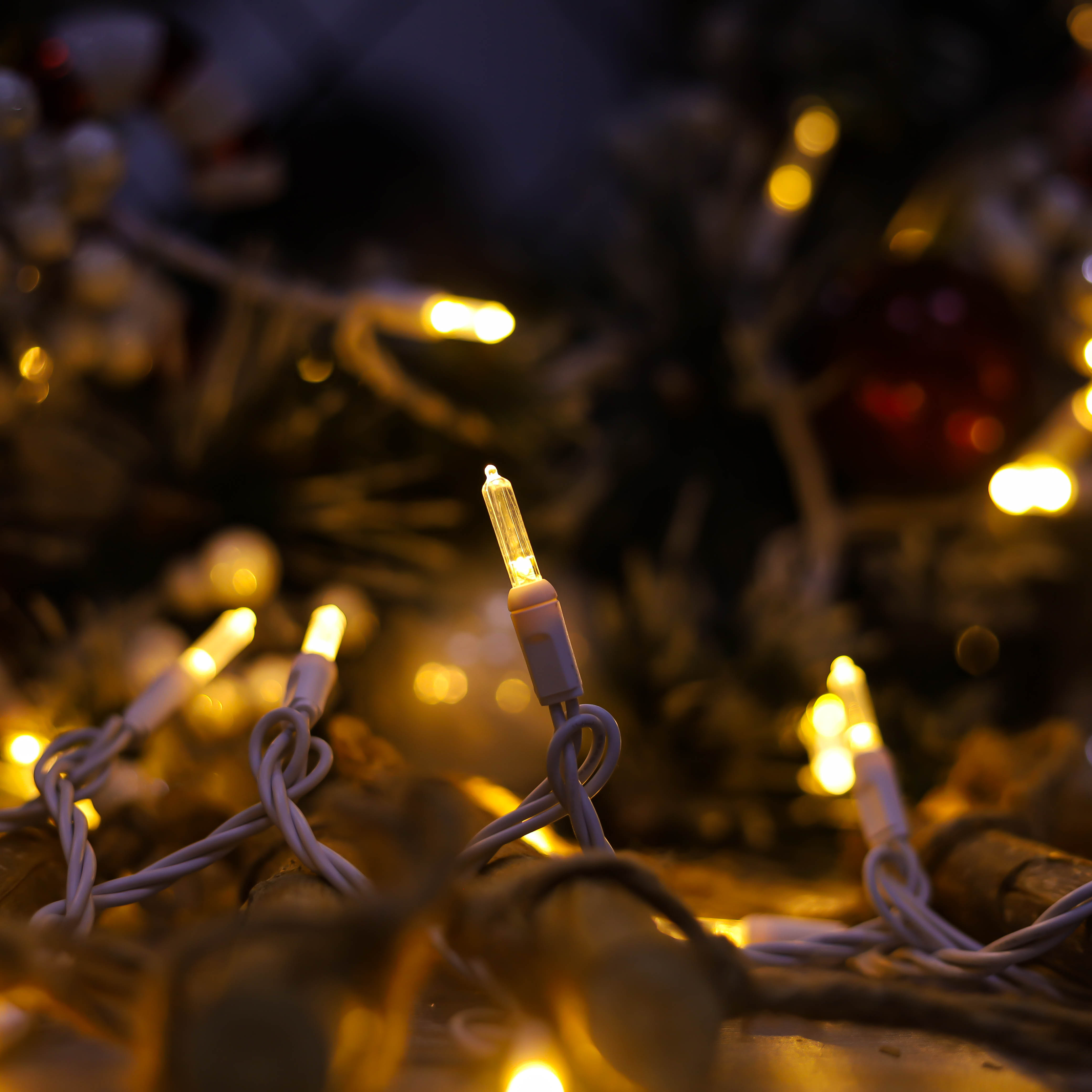 T5 따뜻한 흰색 UL 크리스마스 LED 조명